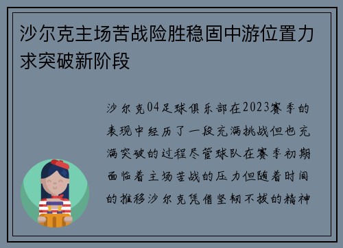 沙尔克主场苦战险胜稳固中游位置力求突破新阶段