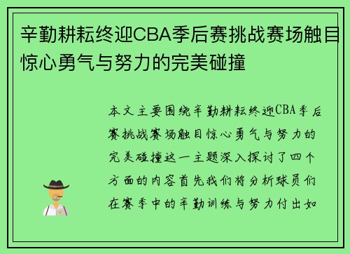 辛勤耕耘终迎CBA季后赛挑战赛场触目惊心勇气与努力的完美碰撞
