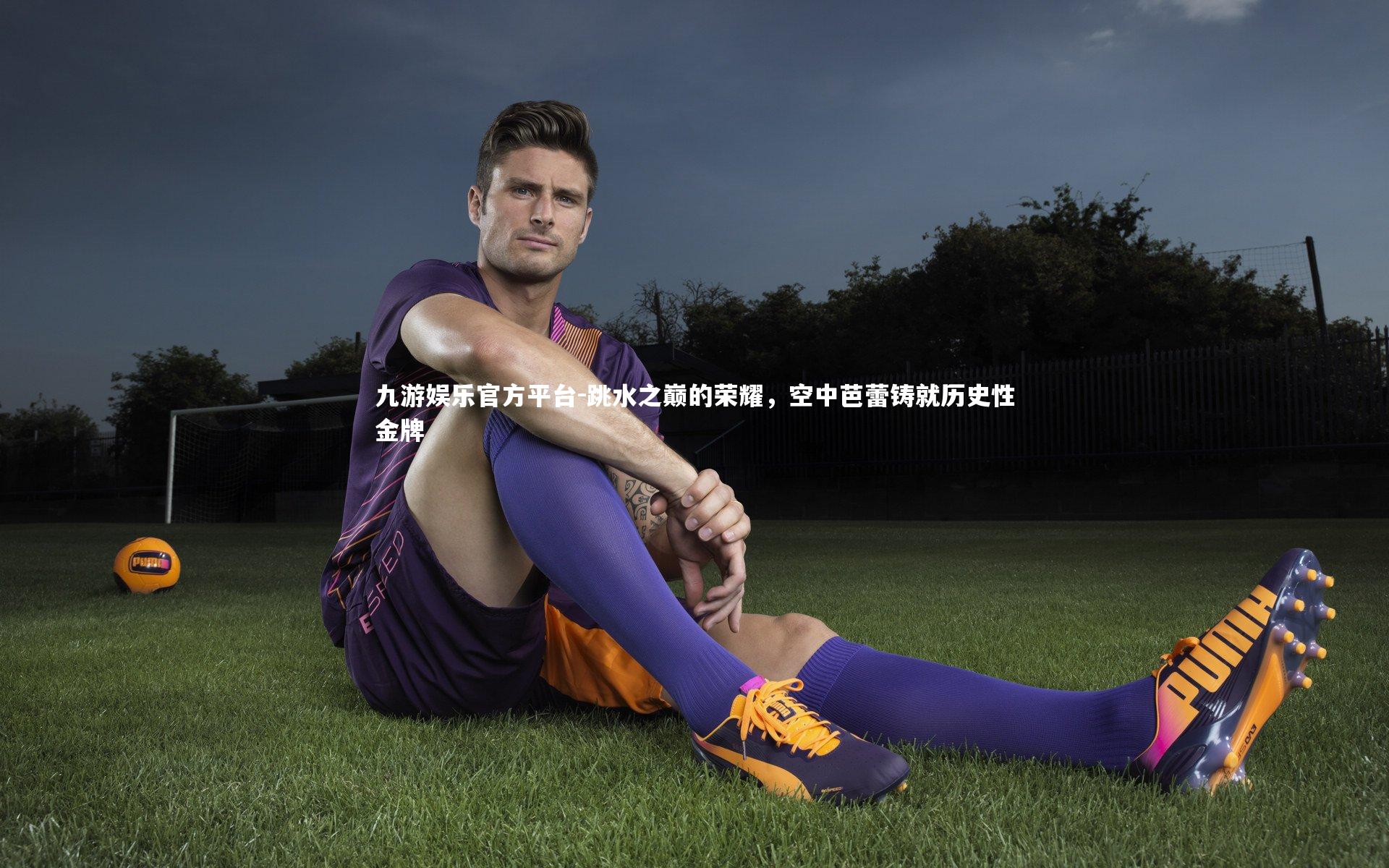 跳水之巅的荣耀，空中芭蕾铸就历史性金牌