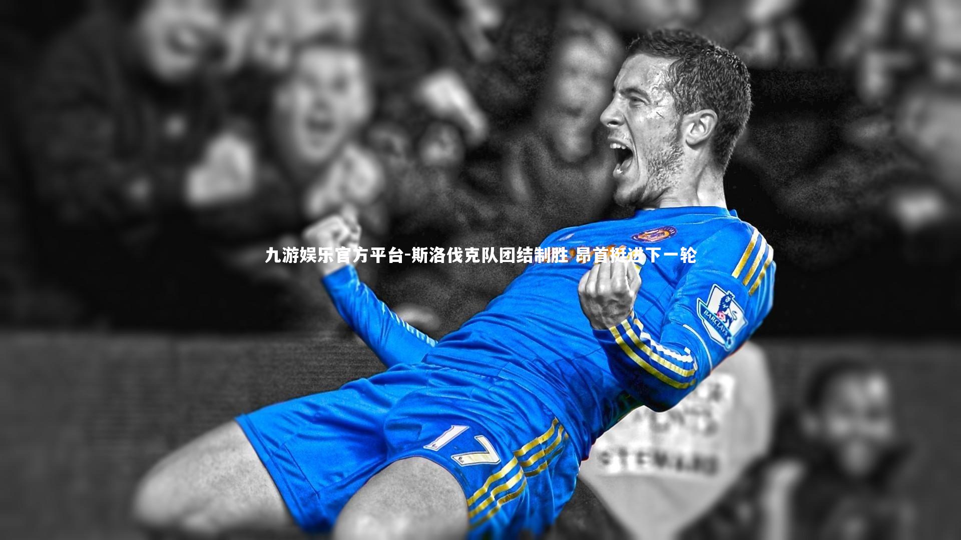 斯洛伐克队团结制胜 昂首挺进下一轮